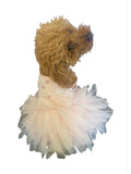 {{product_title}} - Cookies Wagging Friends Boutique