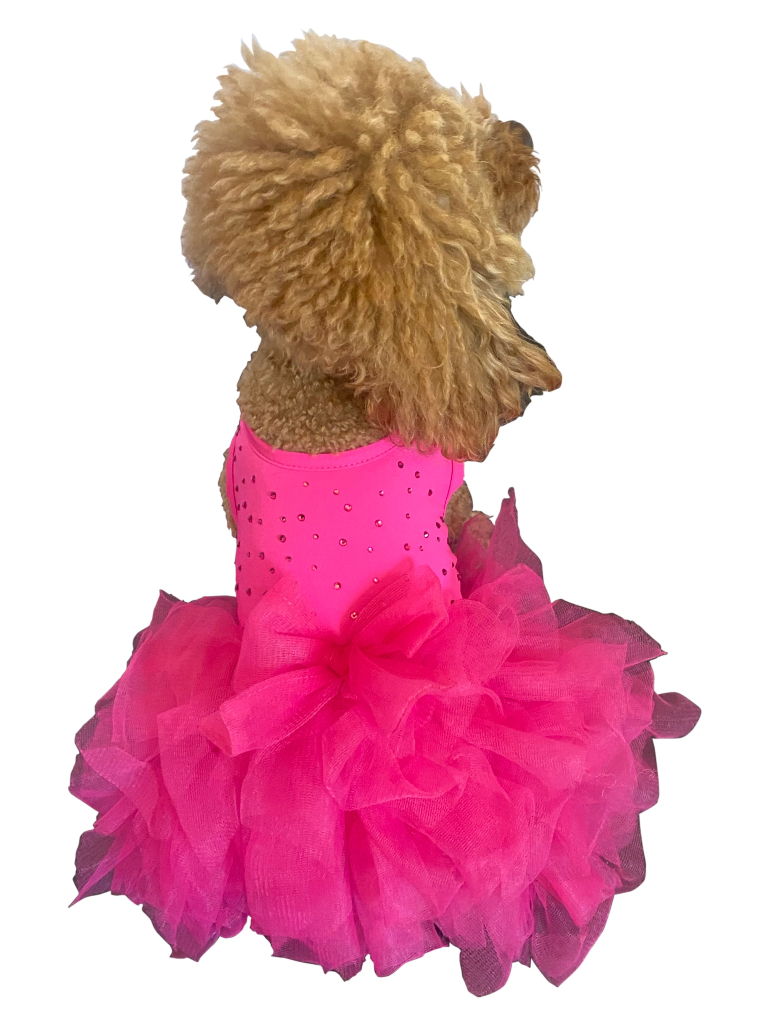{{product_title}} - Cookies Wagging Friends Boutique