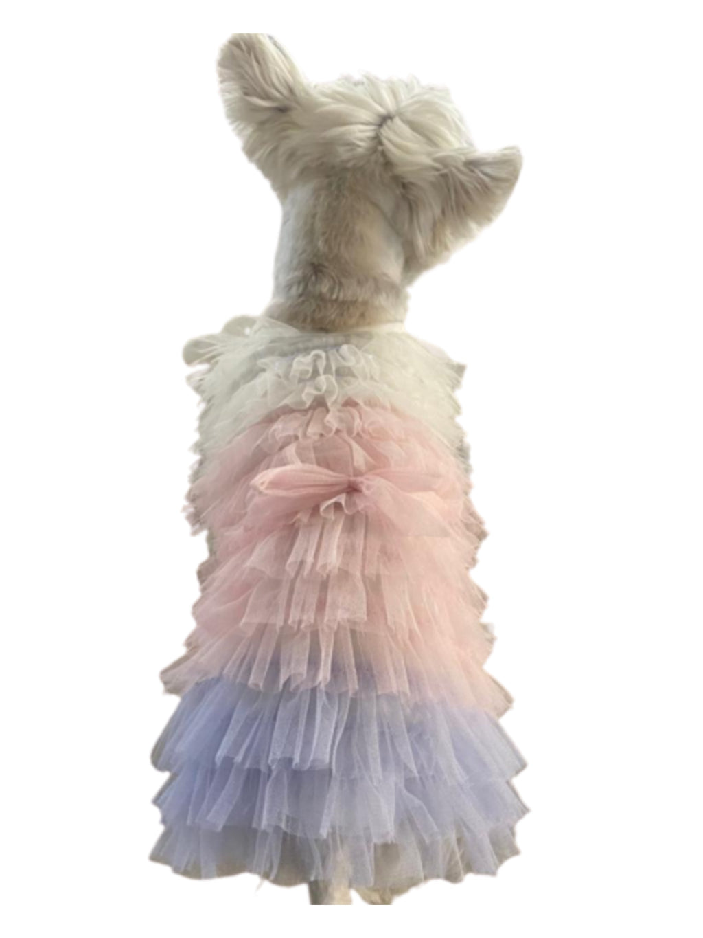 {{product_title}} - Cookies Wagging Friends Boutique