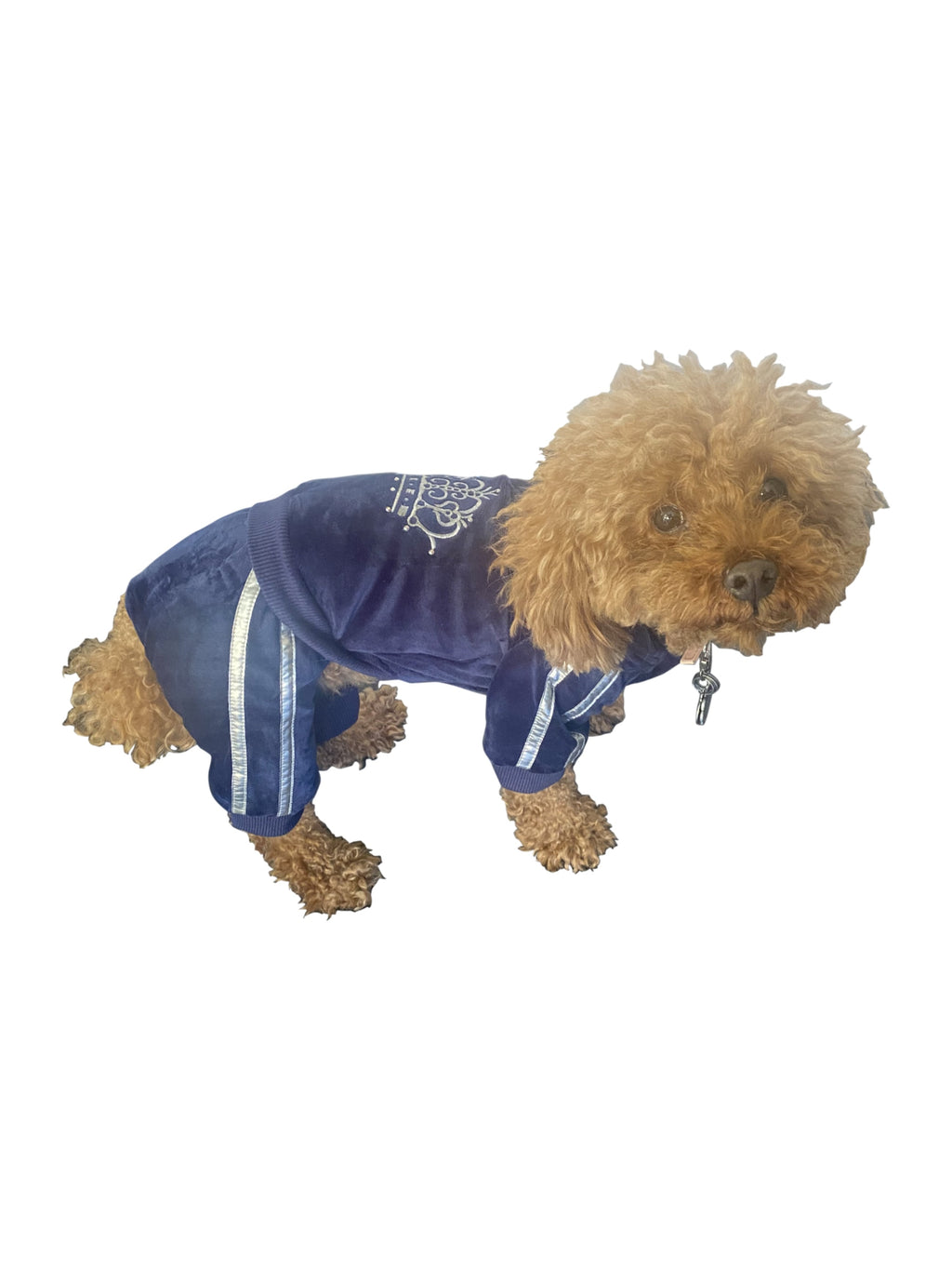 {{product_title}} - Cookies Wagging Friends Boutique
