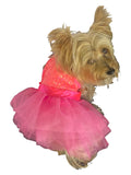 {{product_title}} - Cookies Wagging Friends Boutique