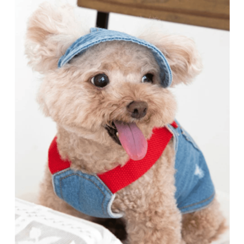 {{product_title}} - Cookies Wagging Friends Boutique