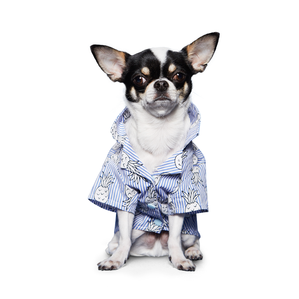 {{product_title}} - Cookies Wagging Friends Boutique
