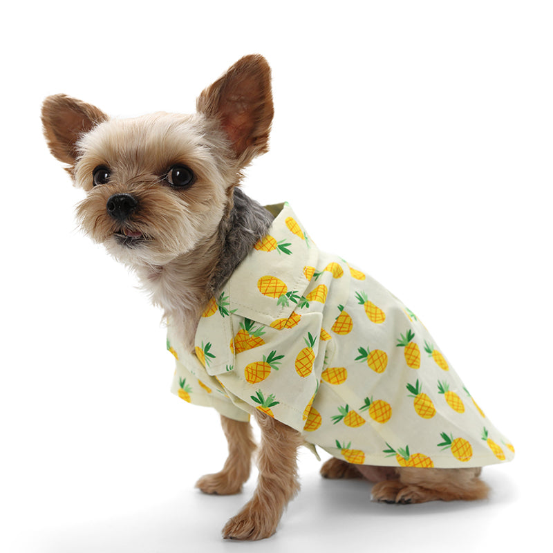 {{product_title}} - Cookies Wagging Friends Boutique