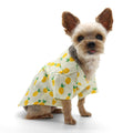 {{product_title}} - Cookies Wagging Friends Boutique