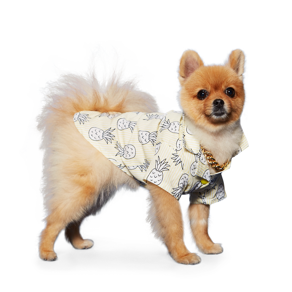 {{product_title}} - Cookies Wagging Friends Boutique