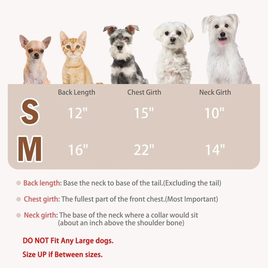 {{product_title}} - Cookies Wagging Friends Boutique