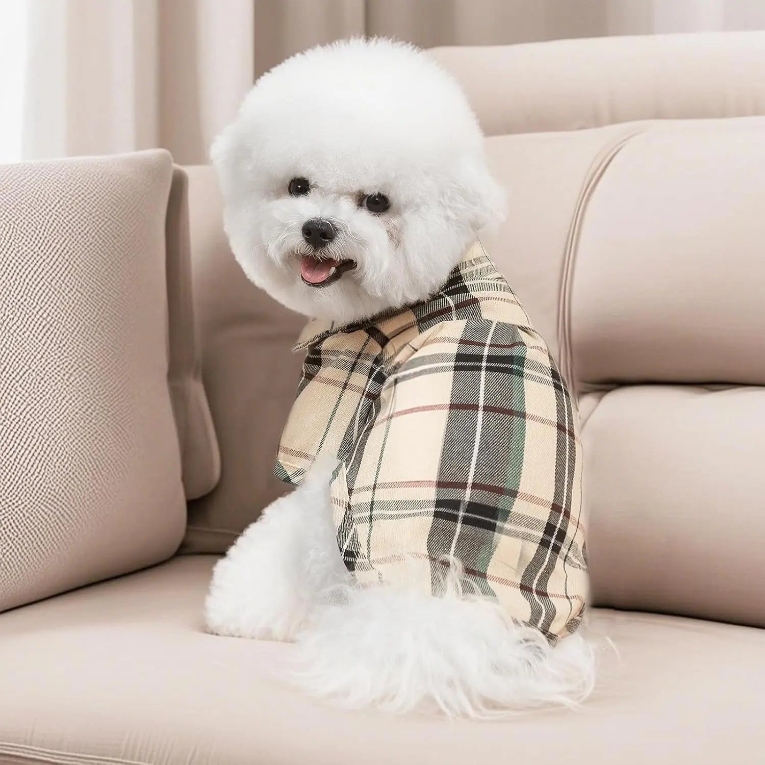 {{product_title}} - Cookies Wagging Friends Boutique