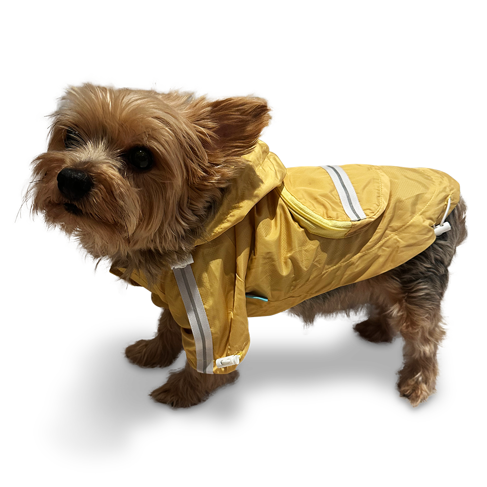 {{product_title}} - Cookies Wagging Friends Boutique