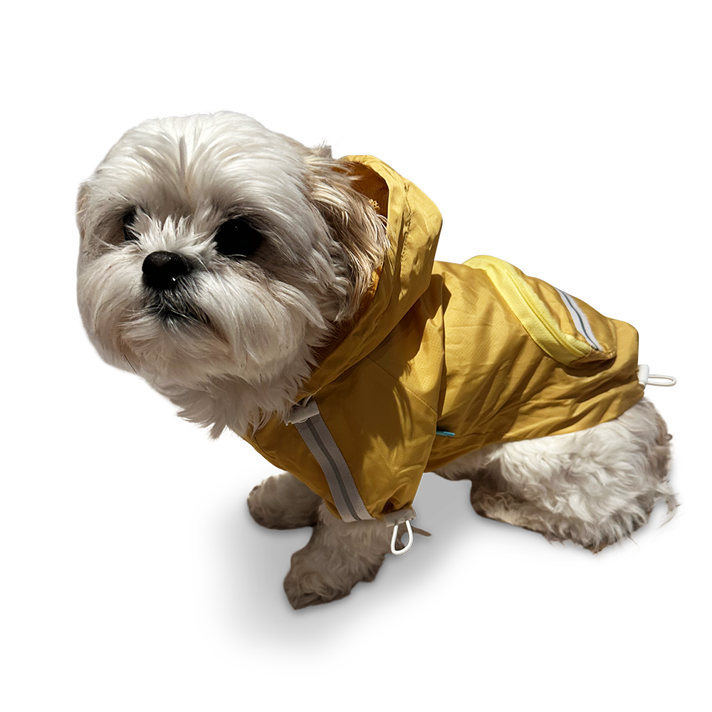 {{product_title}} - Cookies Wagging Friends Boutique