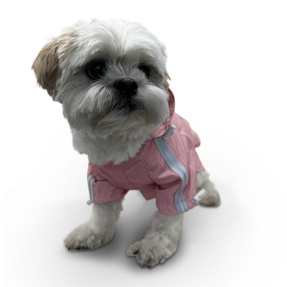 {{product_title}} - Cookies Wagging Friends Boutique
