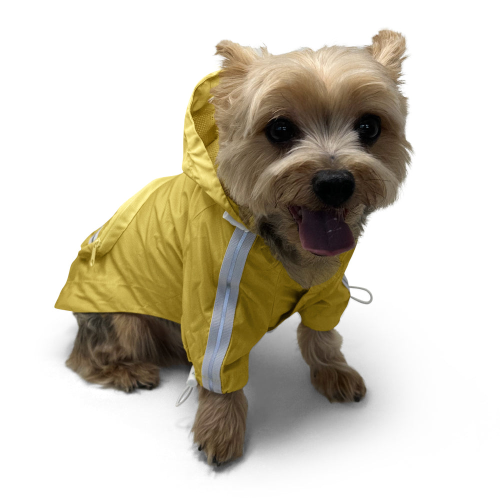 {{product_title}} - Cookies Wagging Friends Boutique