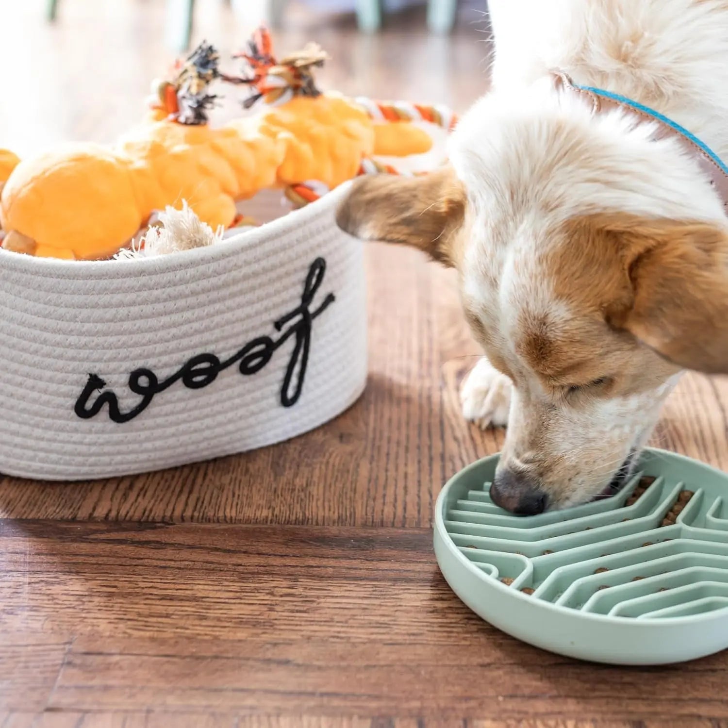 {{product_title}} - Cookies Wagging Friends Boutique