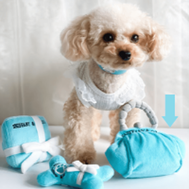 {{product_title}} - Cookies Wagging Friends Boutique