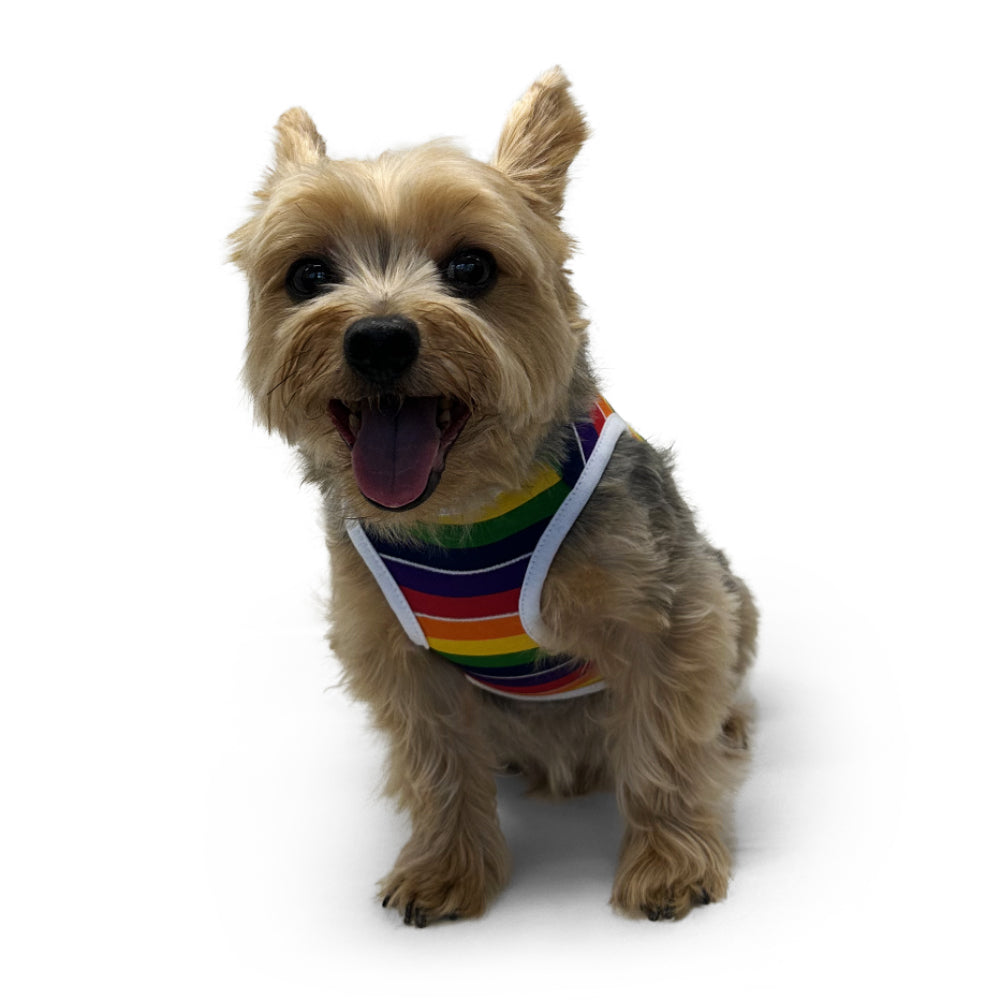 {{product_title}} - Cookies Wagging Friends Boutique
