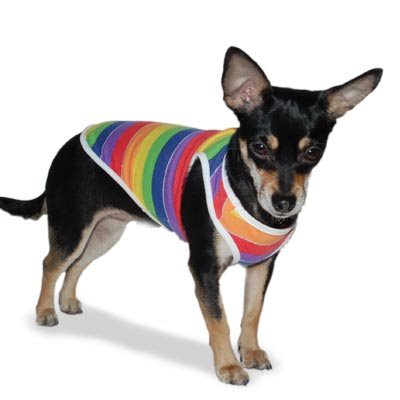 {{product_title}} - Cookies Wagging Friends Boutique