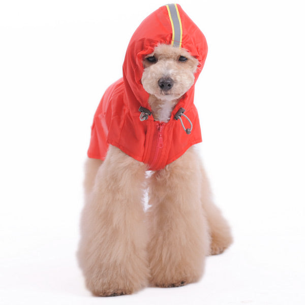 {{product_title}} - Cookies Wagging Friends Boutique