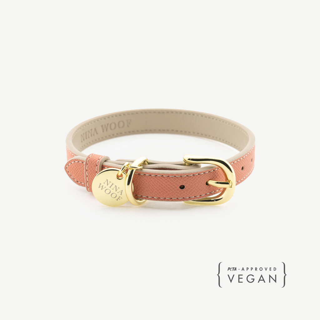 {{product_title}} - Cookies Wagging Friends Boutique