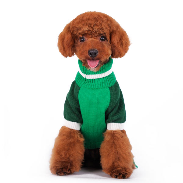 {{product_title}} - Cookies Wagging Friends Boutique
