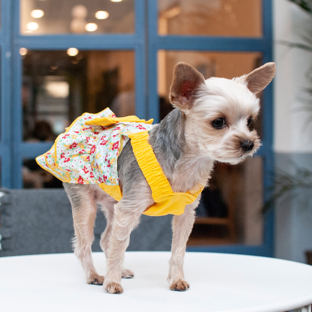 {{product_title}} - Cookies Wagging Friends Boutique