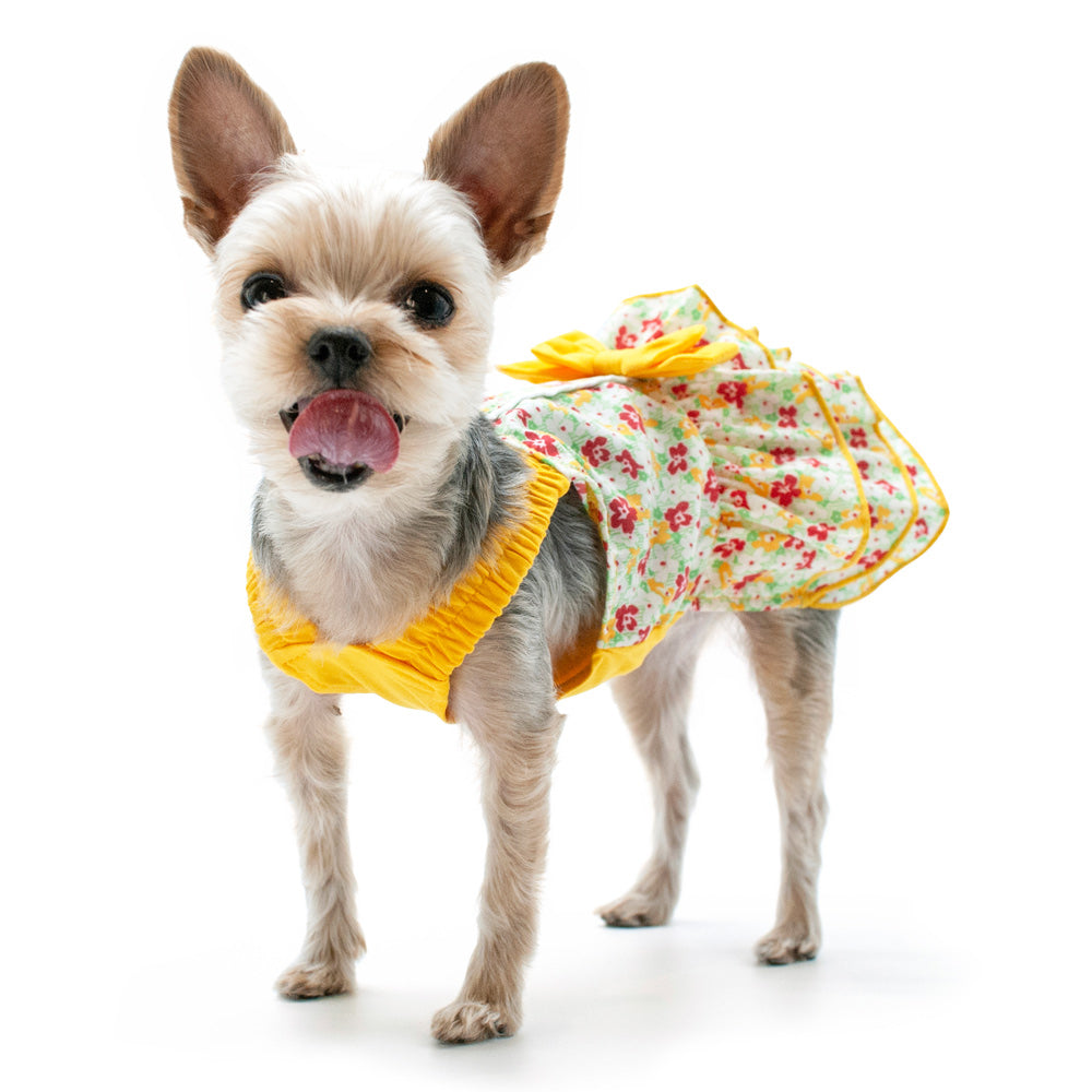 {{product_title}} - Cookies Wagging Friends Boutique