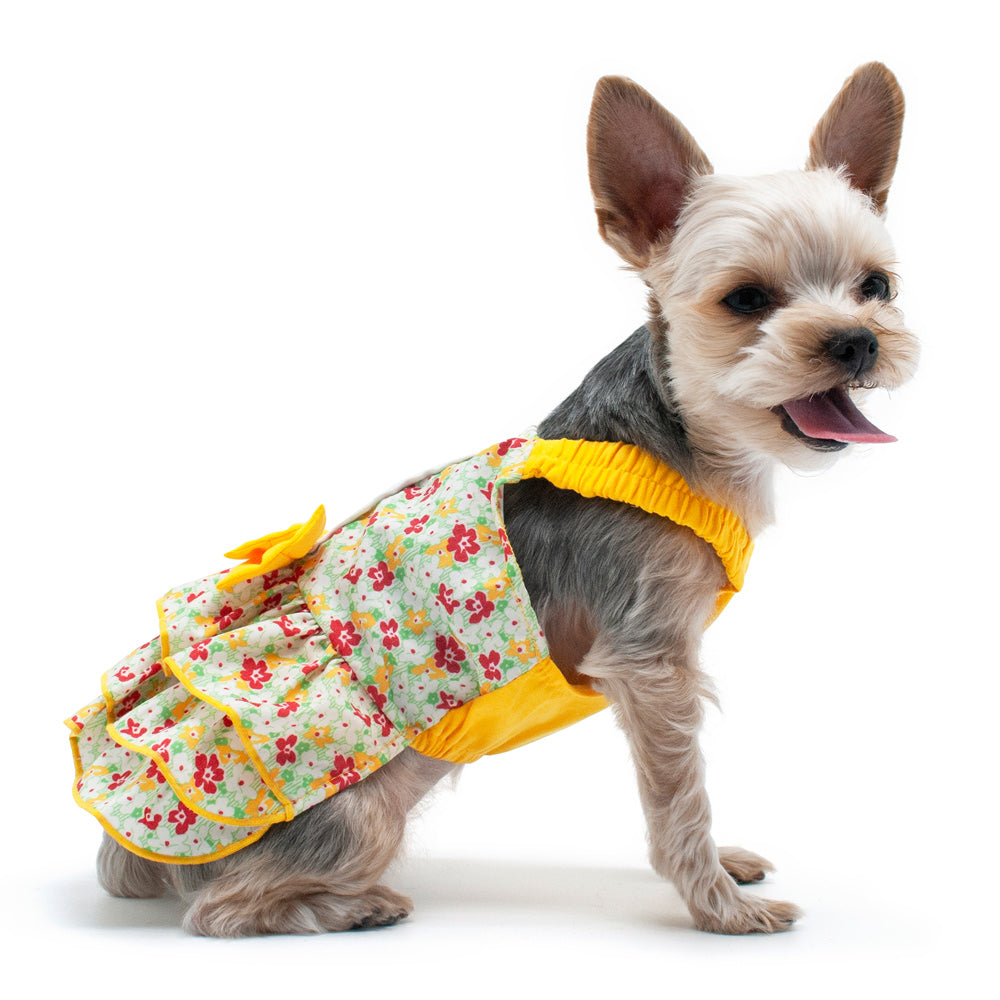 {{product_title}} - Cookies Wagging Friends Boutique