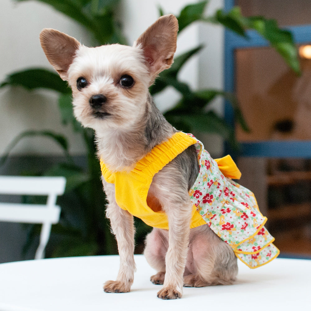 {{product_title}} - Cookies Wagging Friends Boutique