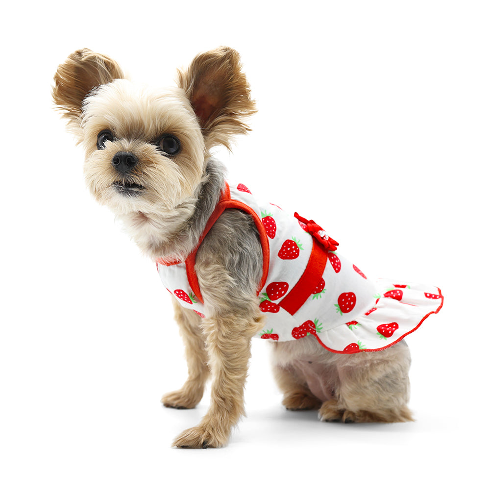 {{product_title}} - Cookies Wagging Friends Boutique