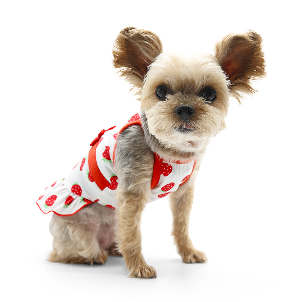 {{product_title}} - Cookies Wagging Friends Boutique