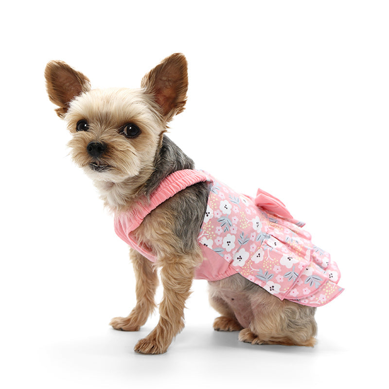 {{product_title}} - Cookies Wagging Friends Boutique