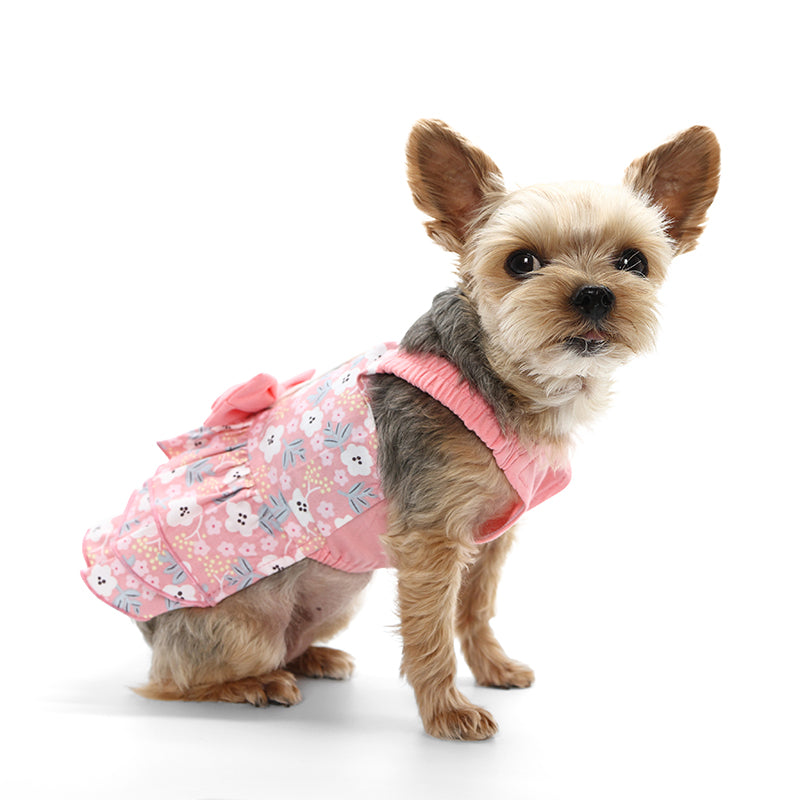 {{product_title}} - Cookies Wagging Friends Boutique