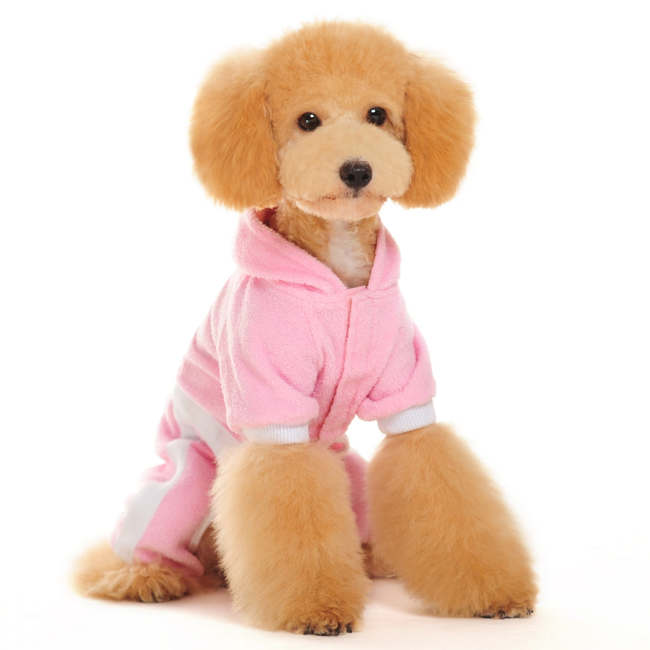 {{product_title}} - Cookies Wagging Friends Boutique
