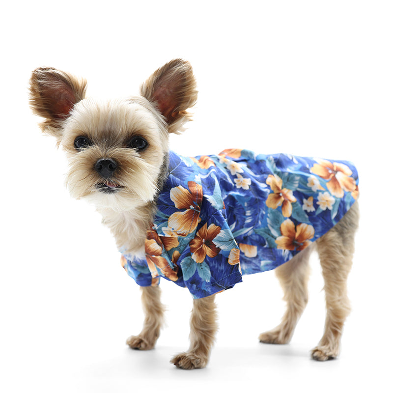 {{product_title}} - Cookies Wagging Friends Boutique