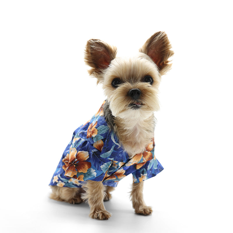 {{product_title}} - Cookies Wagging Friends Boutique