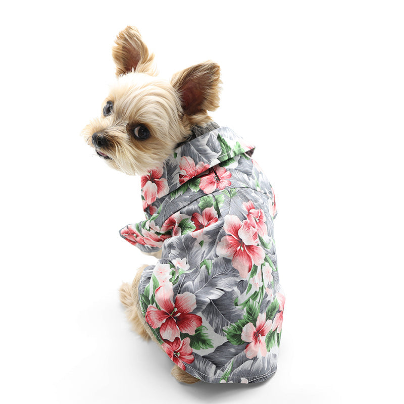 {{product_title}} - Cookies Wagging Friends Boutique