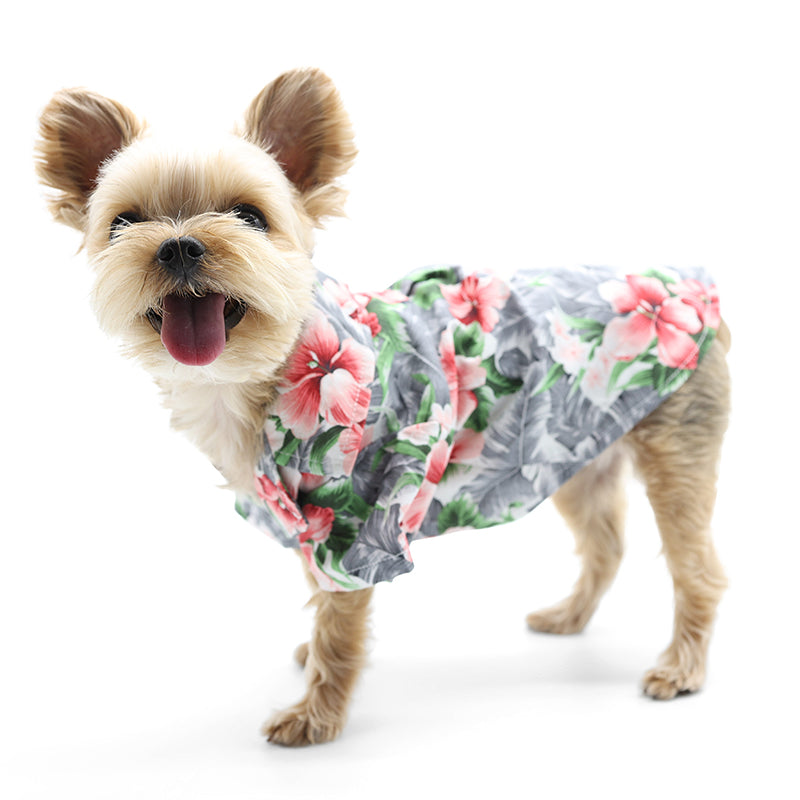 {{product_title}} - Cookies Wagging Friends Boutique