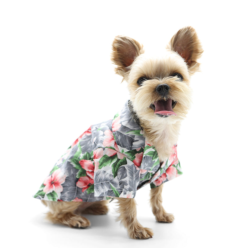 {{product_title}} - Cookies Wagging Friends Boutique