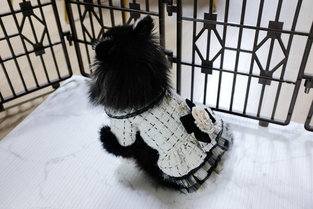 {{product_title}} - Cookies Wagging Friends Boutique