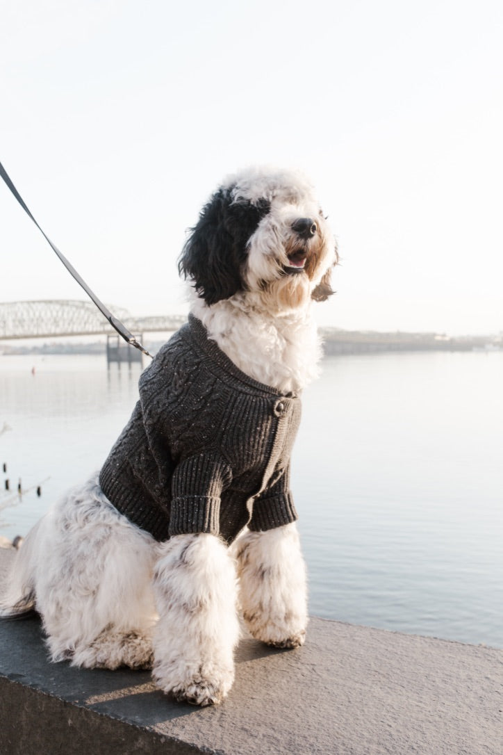 {{product_title}} - Cookies Wagging Friends Boutique