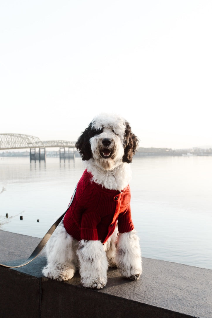 {{product_title}} - Cookies Wagging Friends Boutique