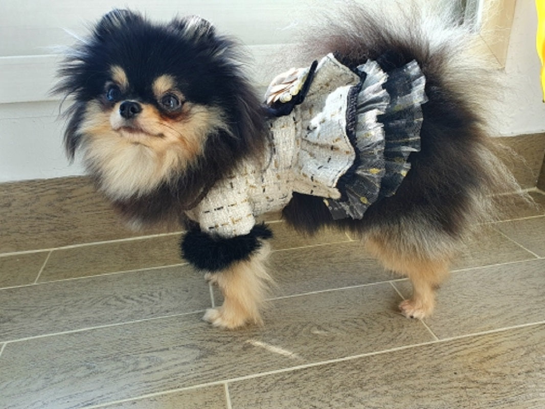 {{product_title}} - Cookies Wagging Friends Boutique
