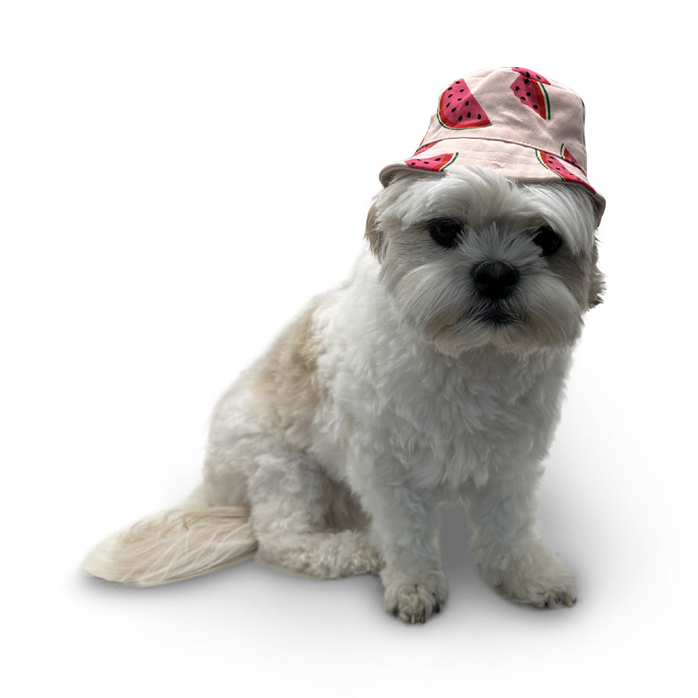 {{product_title}} - Cookies Wagging Friends Boutique