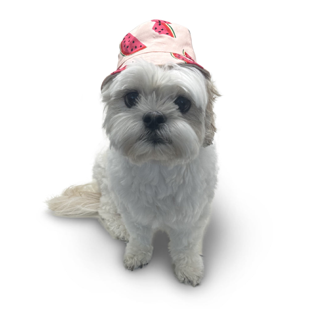 {{product_title}} - Cookies Wagging Friends Boutique
