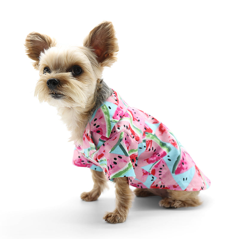 {{product_title}} - Cookies Wagging Friends Boutique