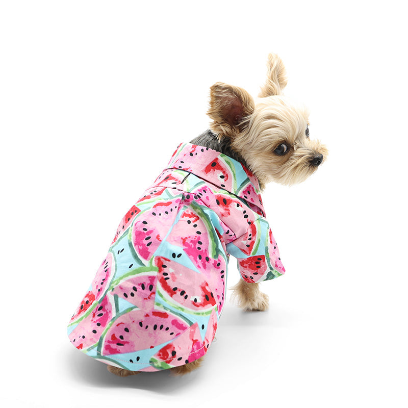 {{product_title}} - Cookies Wagging Friends Boutique