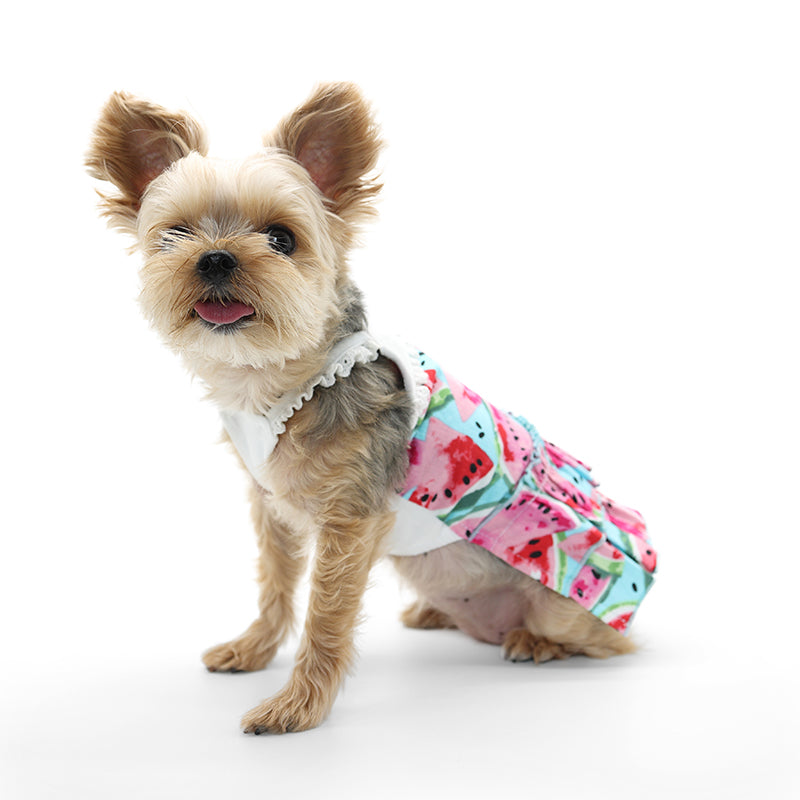 {{product_title}} - Cookies Wagging Friends Boutique