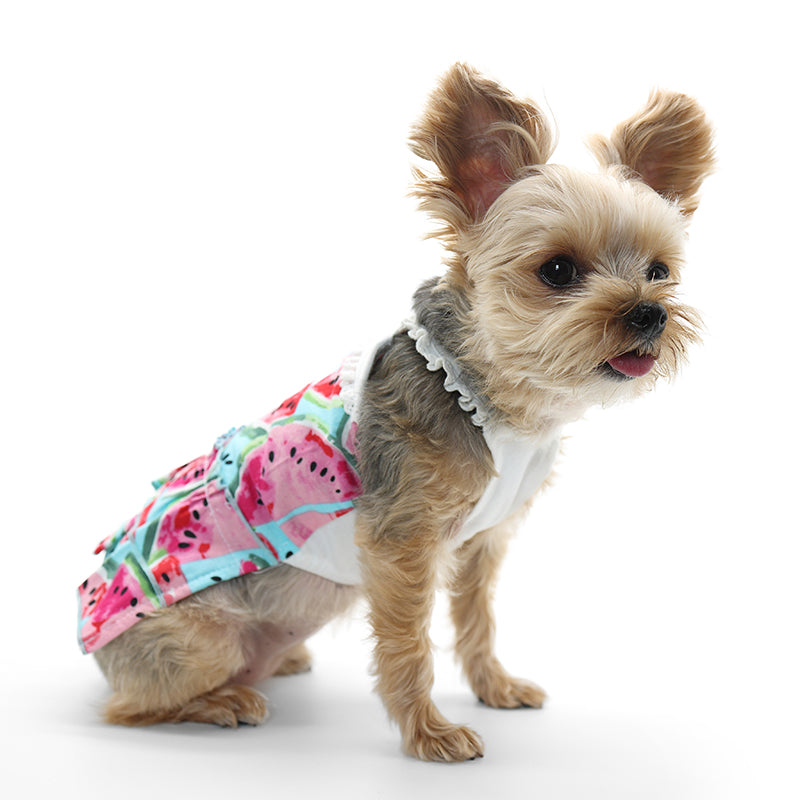 {{product_title}} - Cookies Wagging Friends Boutique