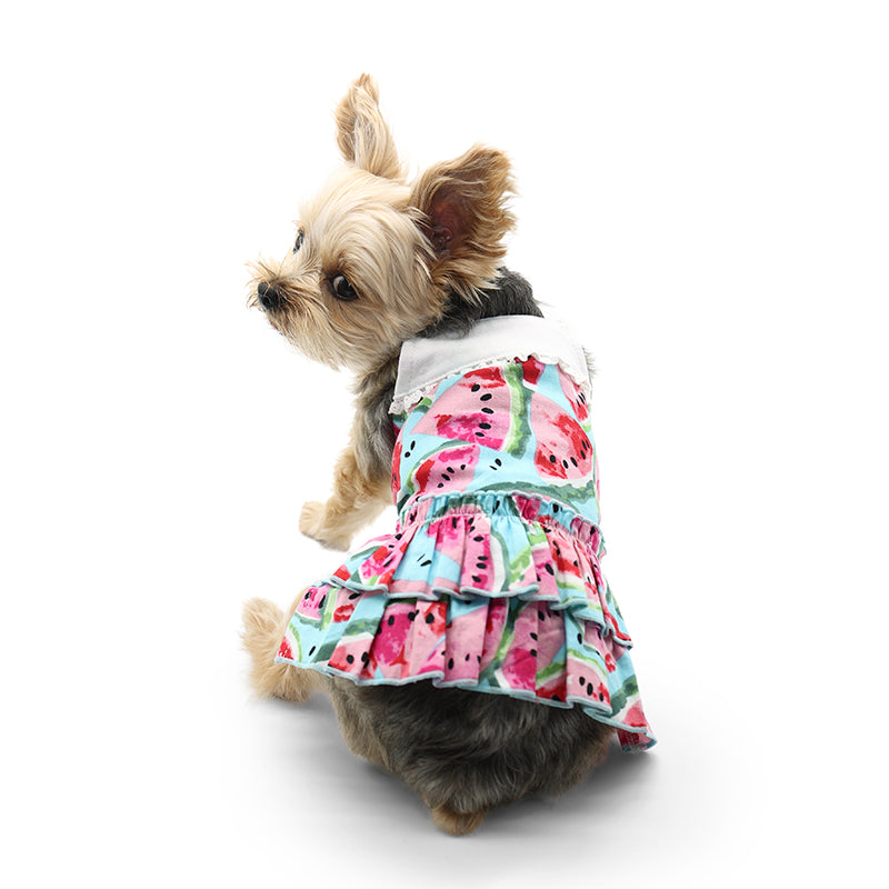{{product_title}} - Cookies Wagging Friends Boutique