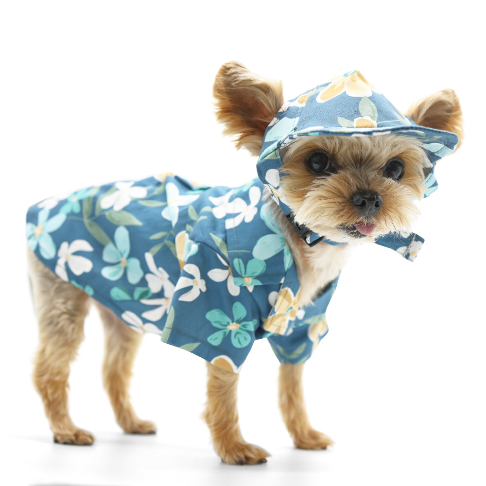 {{product_title}} - Cookies Wagging Friends Boutique