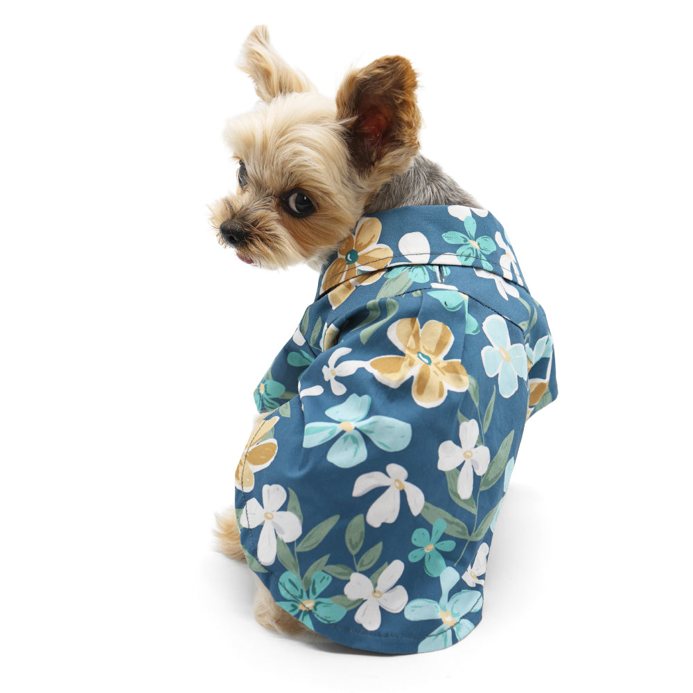 {{product_title}} - Cookies Wagging Friends Boutique